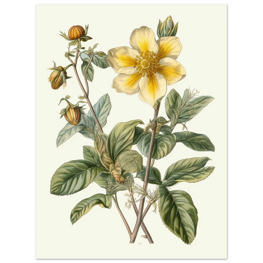 4735e1c6-8d2d-4bcd-ab22-6d8ab2b4b333