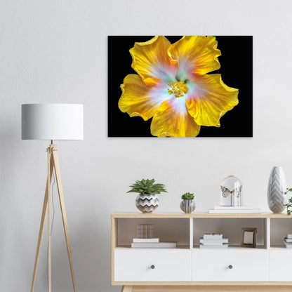 485b5d19-2517-4641-b36e-79444ece1eea