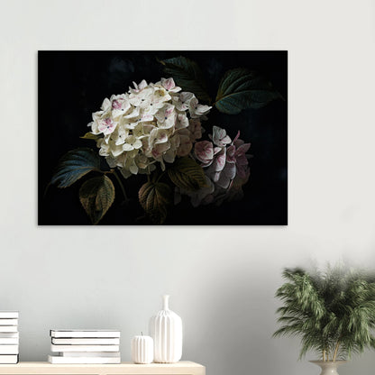 488dacea-6f7c-4062-80be-c6f06620765d