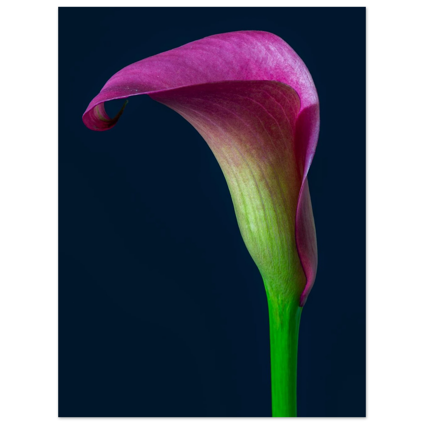 4b353472-2cda-46f2-b70c-dec79ec82846