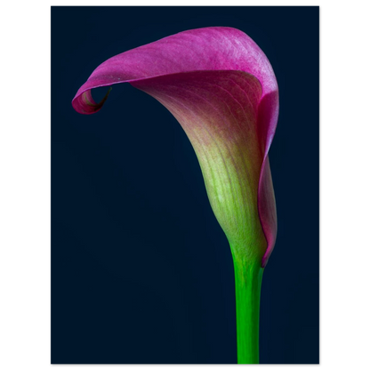 4b353472-2cda-46f2-b70c-dec79ec82846