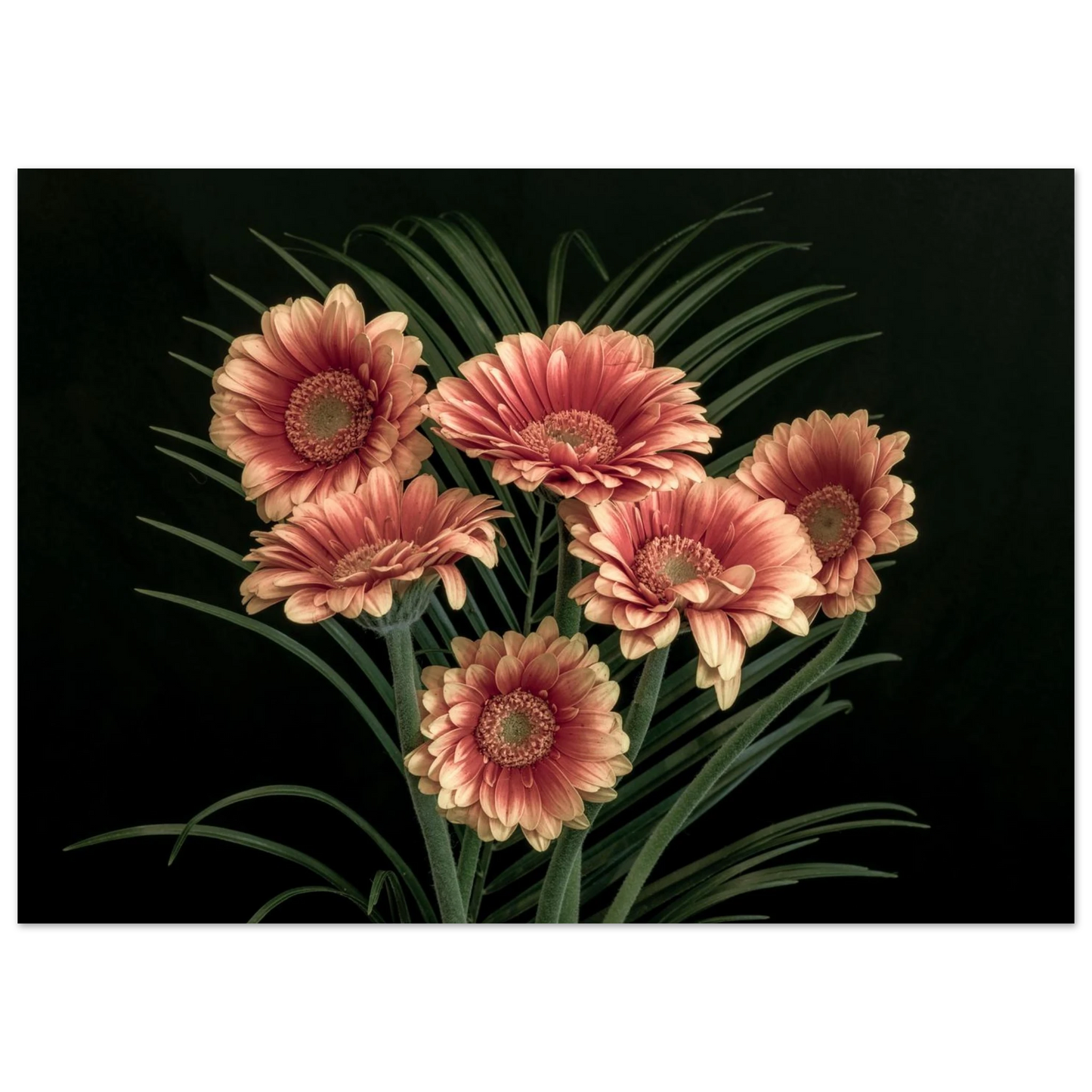 517eacc3-d75e-4500-bf95-79558925b01f