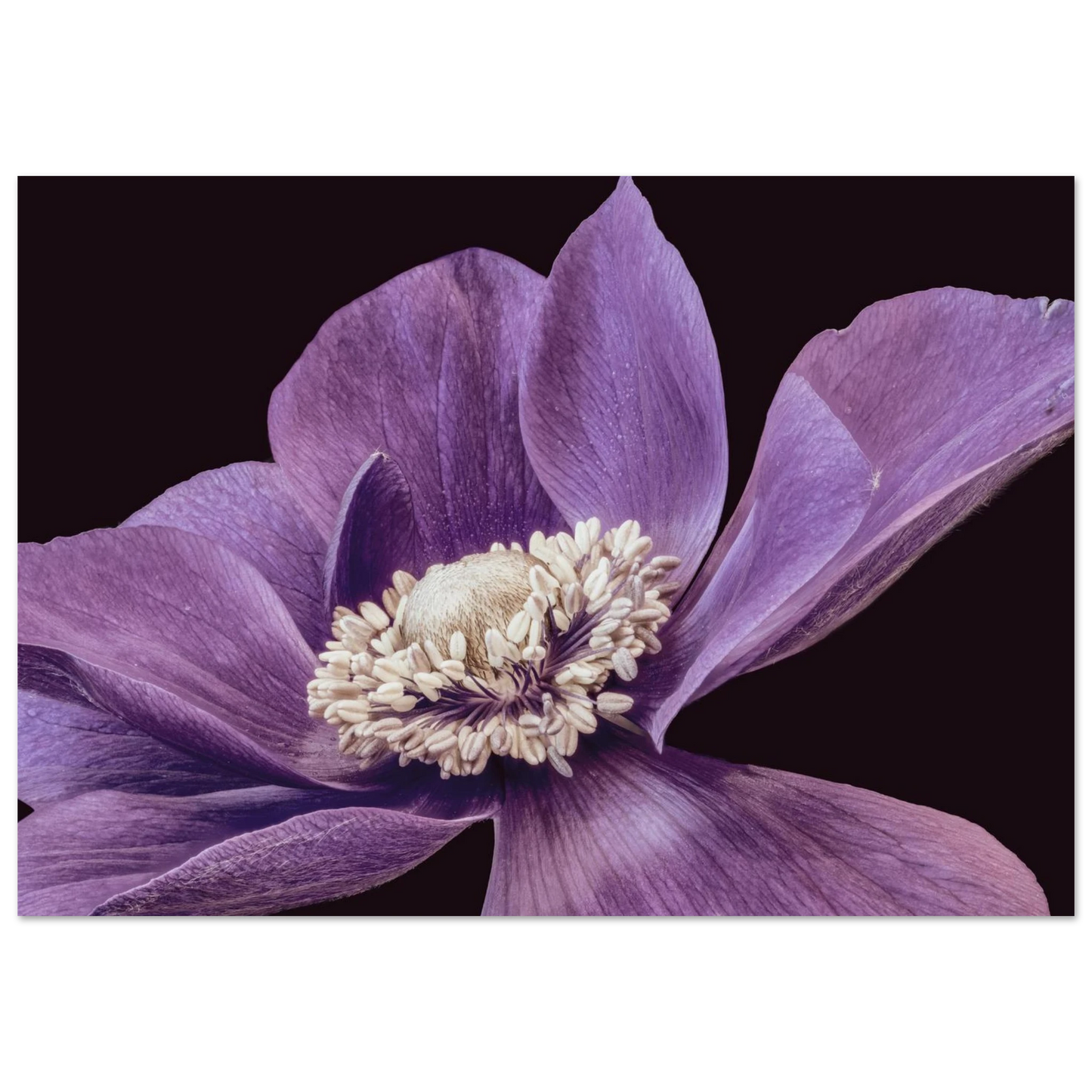 5644dc01-bf26-4977-bc0b-b99f100a5faf