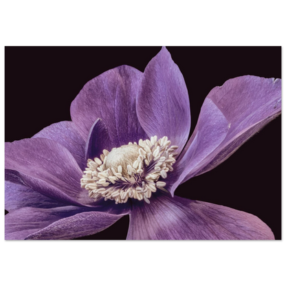 5644dc01-bf26-4977-bc0b-b99f100a5faf