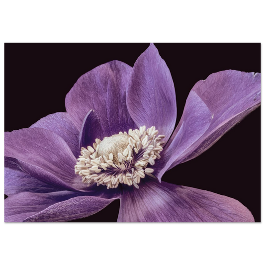 5644dc01-bf26-4977-bc0b-b99f100a5faf