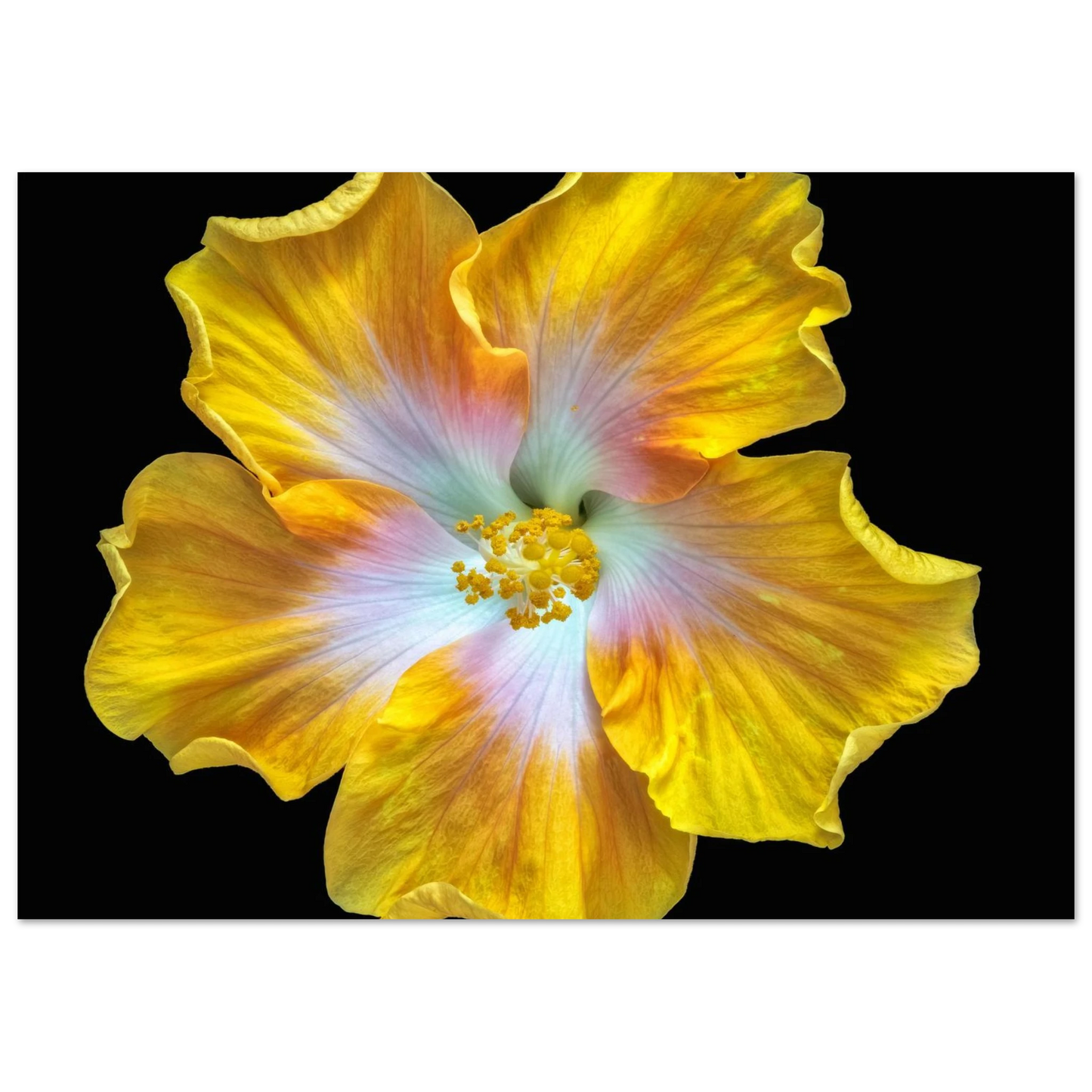 580716cf-8561-498d-bc41-21fe534d99d3