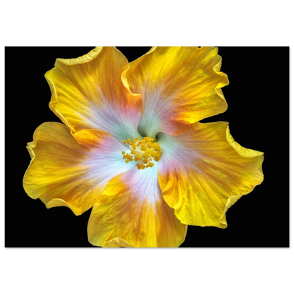 580716cf-8561-498d-bc41-21fe534d99d3