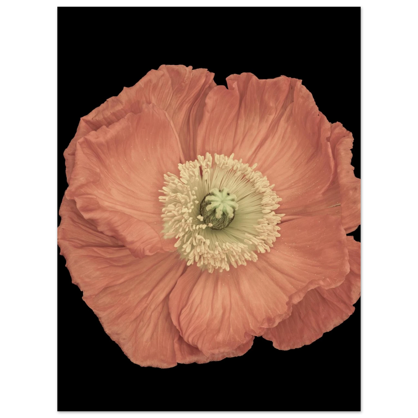 5ab74287-5a6f-4f5e-a7ad-eac134f3917f