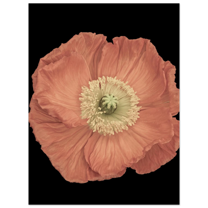 5ab74287-5a6f-4f5e-a7ad-eac134f3917f