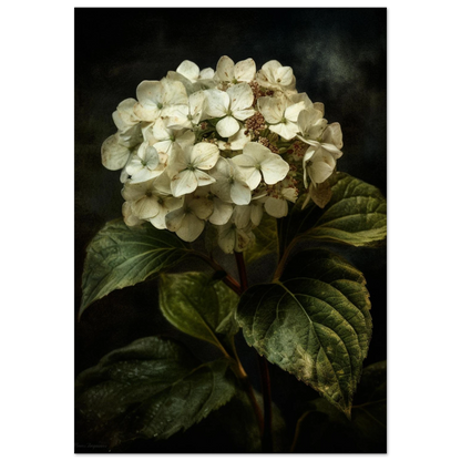 5c22ed32-70cb-4061-a479-fccebc7e1c70