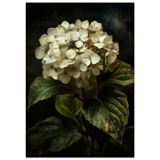 5c22ed32-70cb-4061-a479-fccebc7e1c70