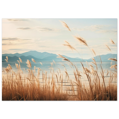 5e1140f6-7926-4590-92a6-0e88f81a4d86