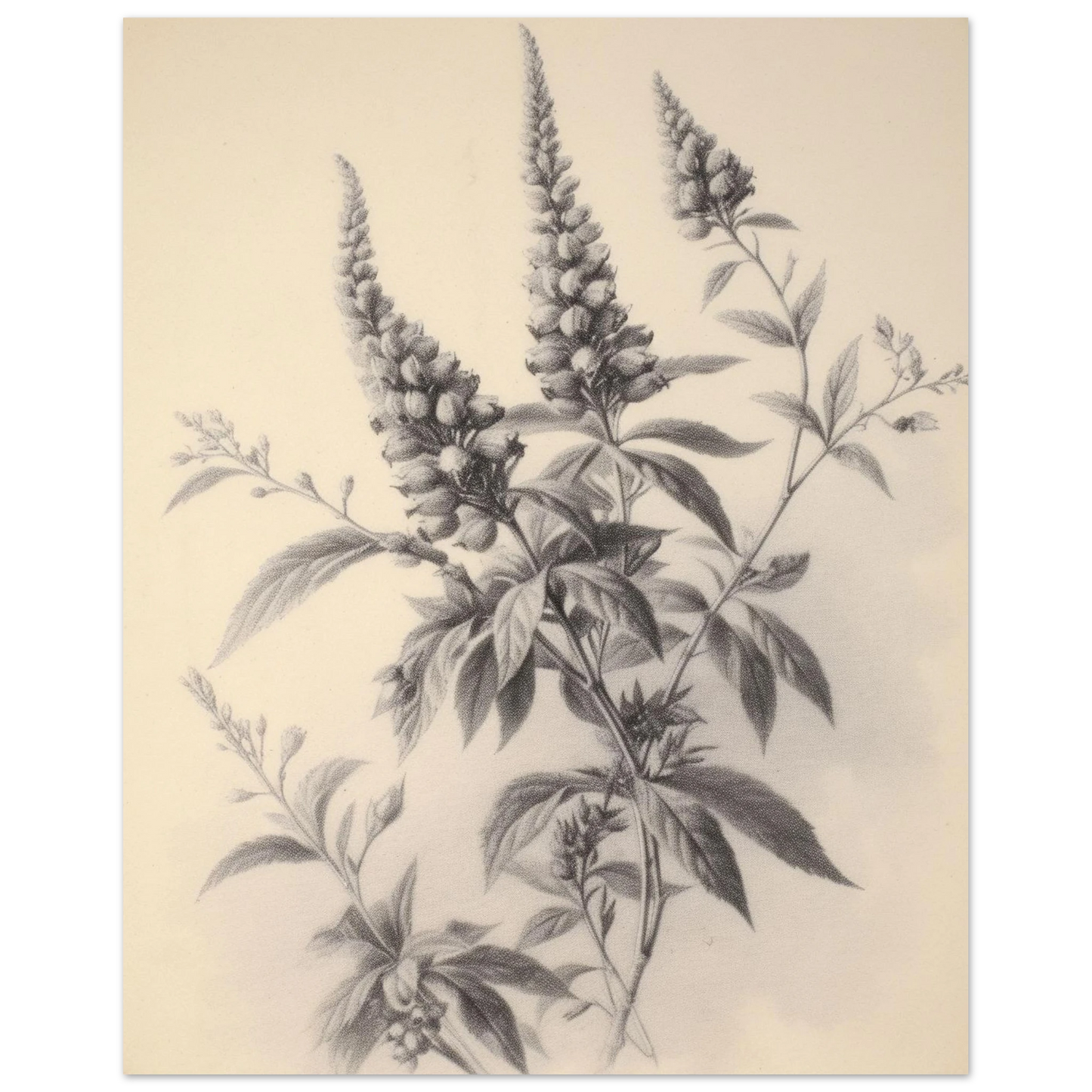 69c5f40b-22eb-4494-868a-5e056c94a883