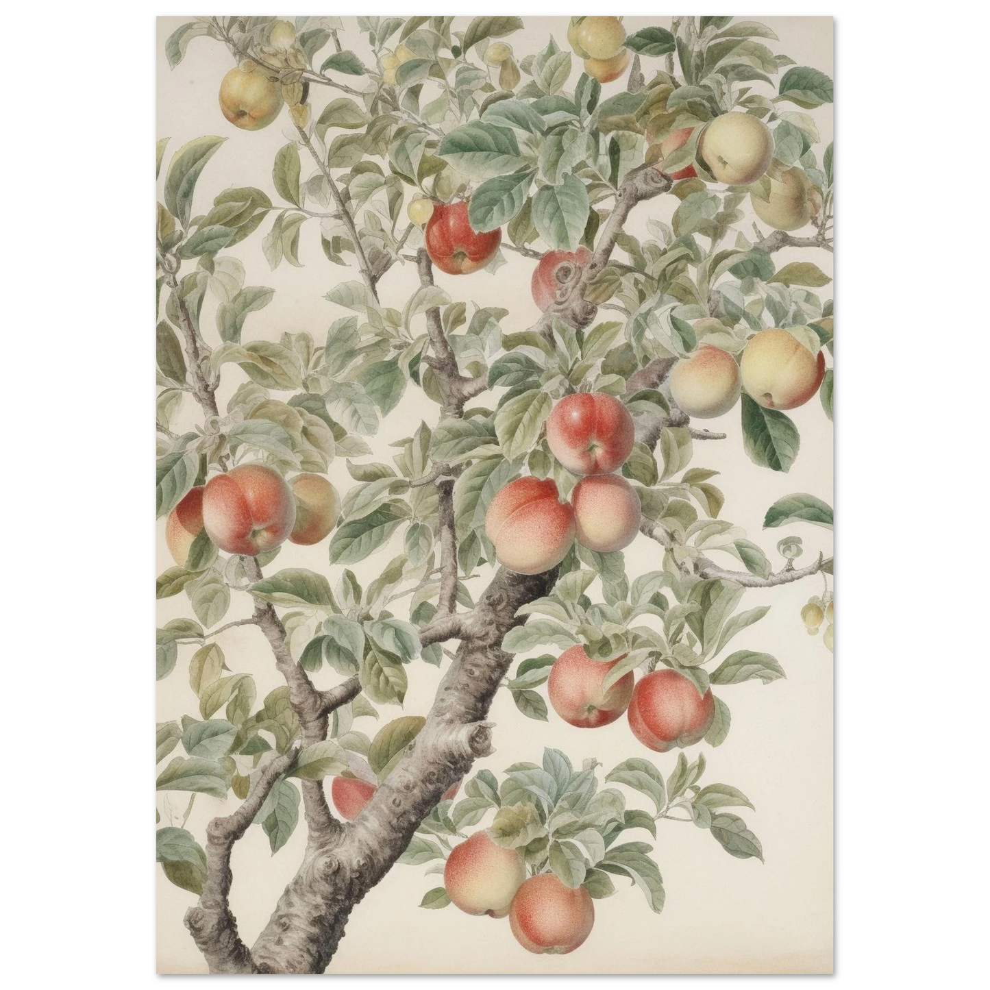 69e8d50a-c655-4ce1-a34b-6f79f07f0200