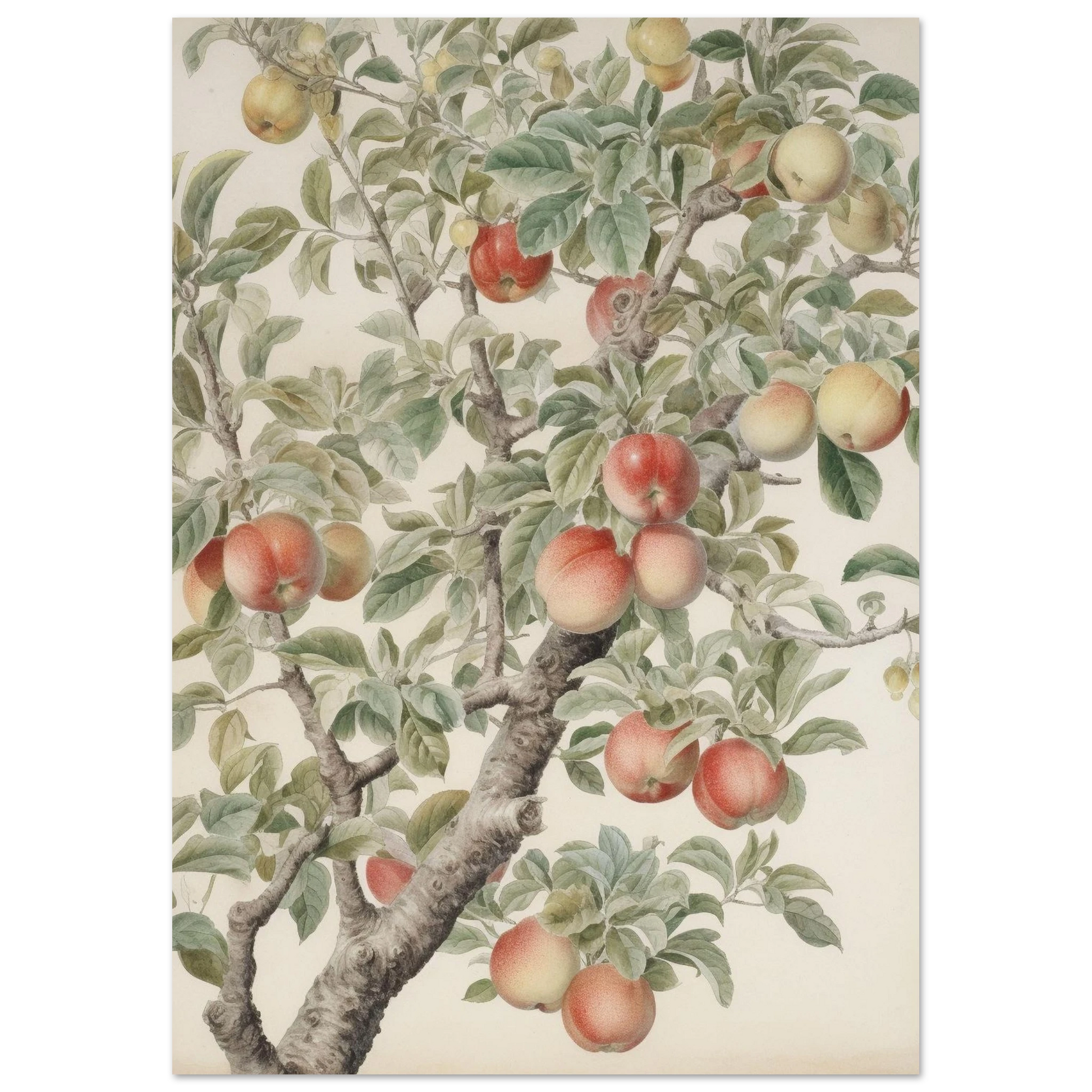 69e8d50a-c655-4ce1-a34b-6f79f07f0200