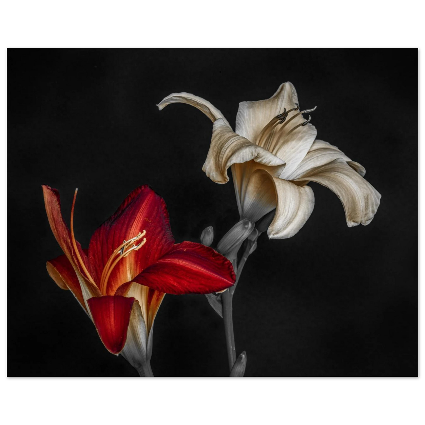 6c256e4d-bd66-43c2-8e7e-606d63b19508