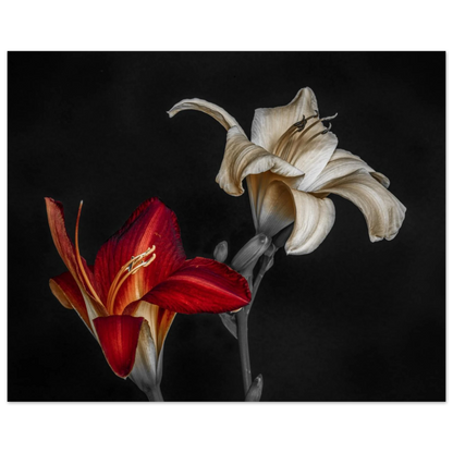 6c256e4d-bd66-43c2-8e7e-606d63b19508