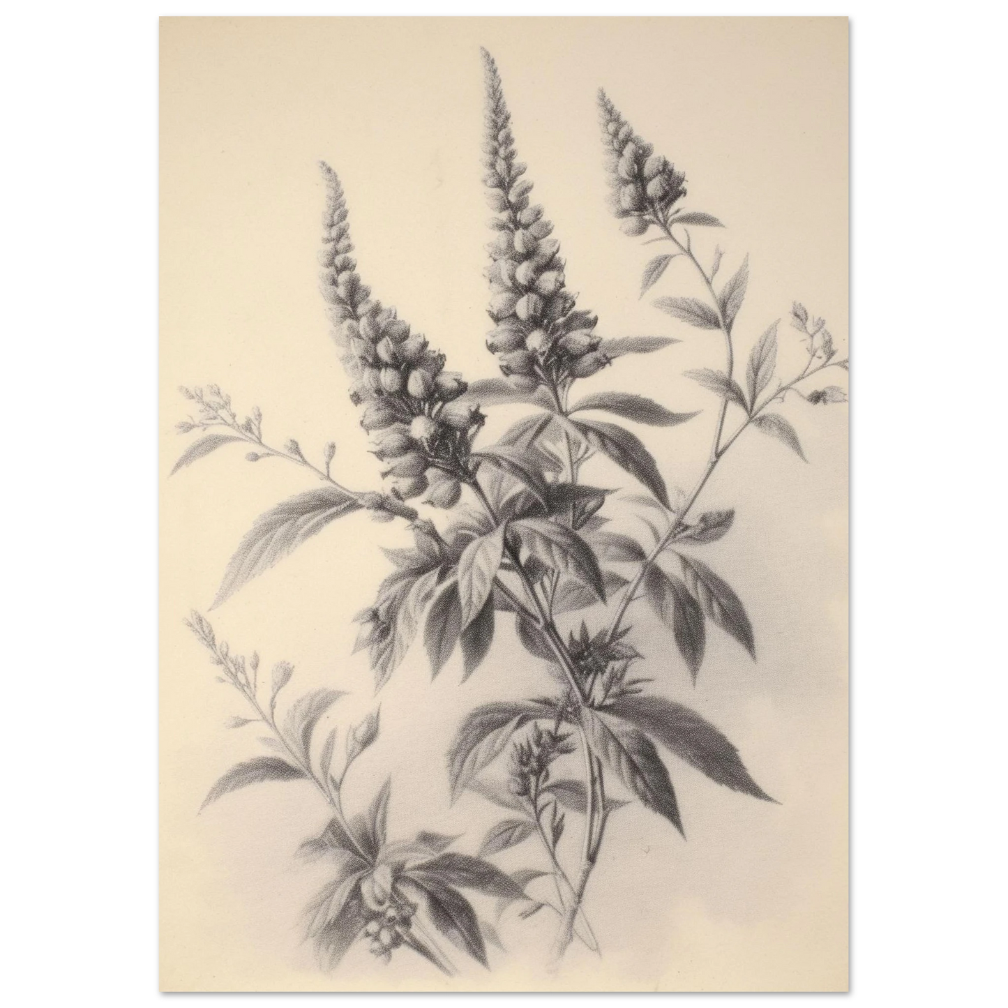 6d5d8ed8-8a1d-4b84-b08a-82a5e3c833c5