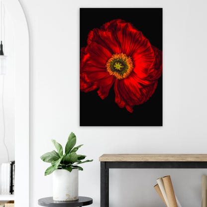 6e833fea-fd0c-458e-8e33-e380b9445345