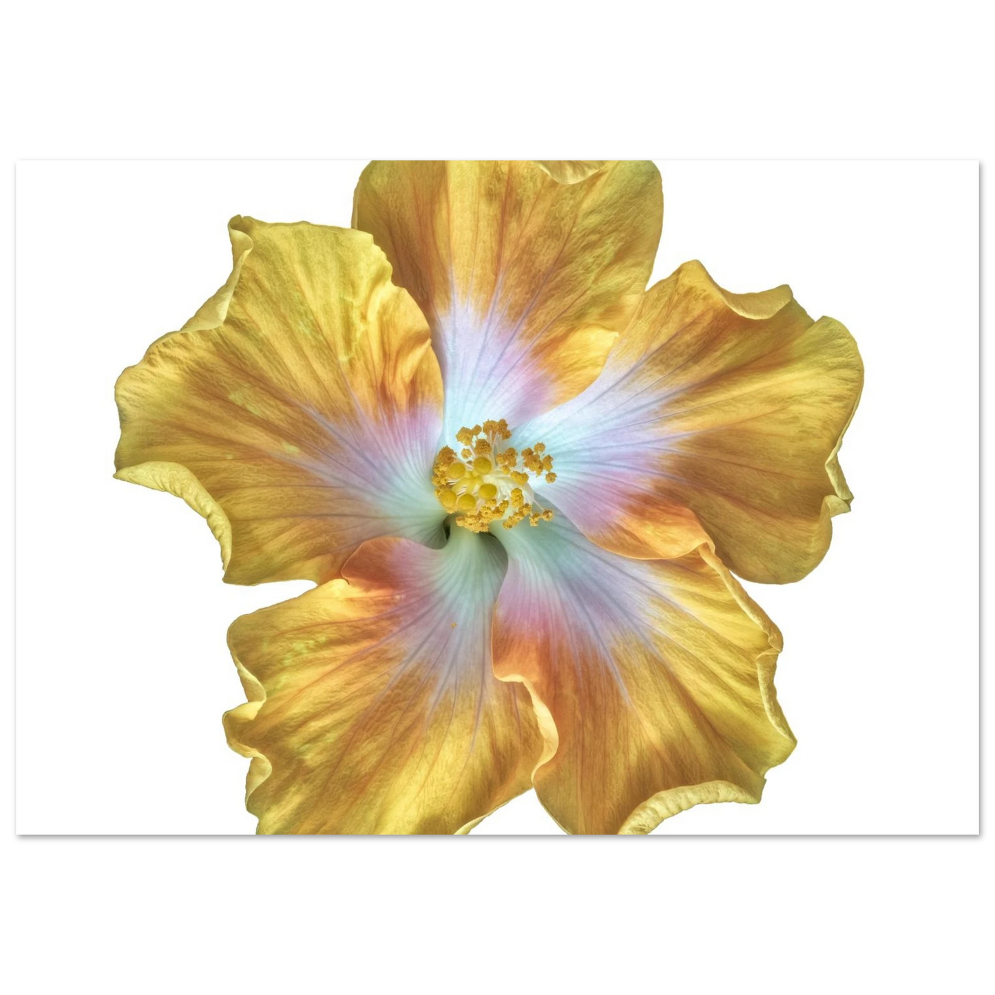 6eebeddd-36cc-478a-8400-f89468b9b544