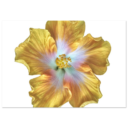 6eebeddd-36cc-478a-8400-f89468b9b544