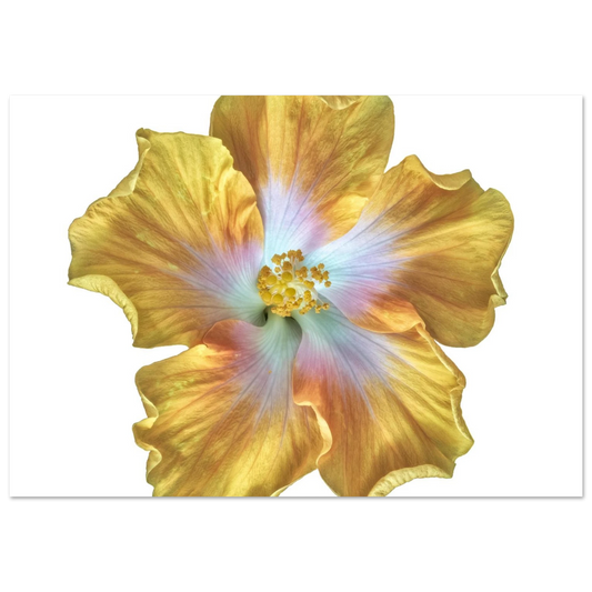 6eebeddd-36cc-478a-8400-f89468b9b544