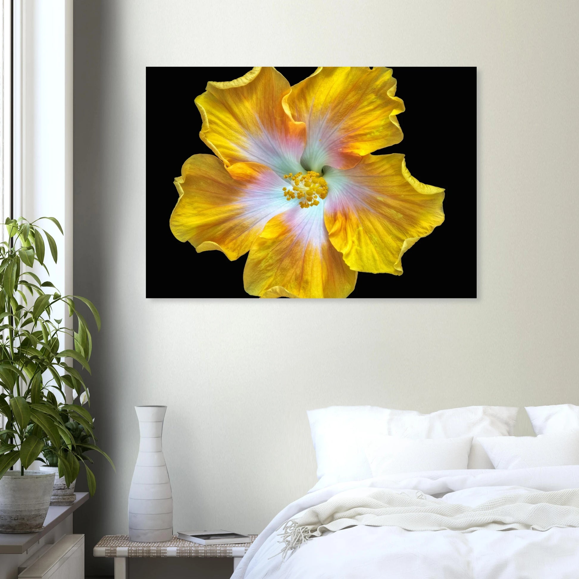 6f79d1fc-95f0-4248-b928-d914afc6b0a6