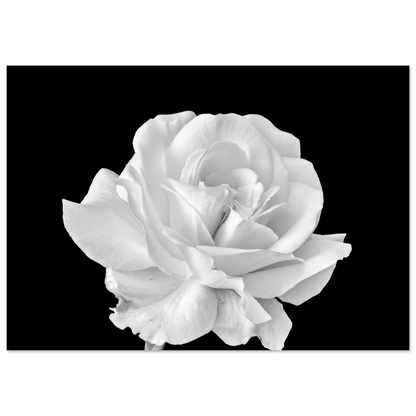 6fe49017-3fcf-4aef-9559-86d808122762