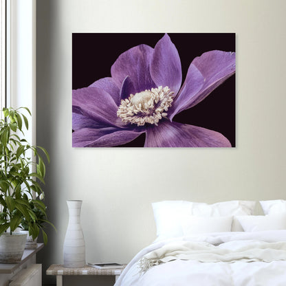 70b8c8de-1995-4d89-82e5-580123af74f1