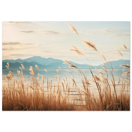 72096ae0-fb67-4d8b-b747-8f4db3629dae