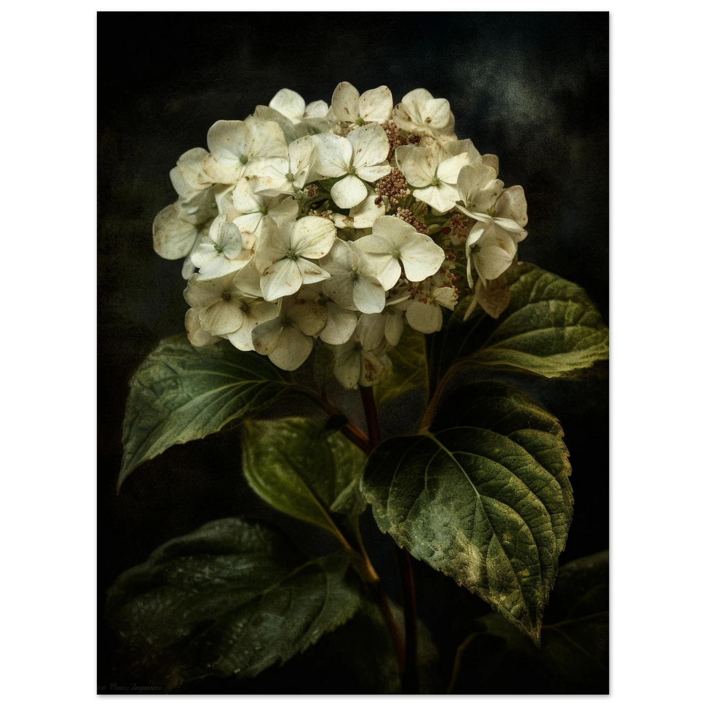 735ab432-f856-45c2-8c6a-4fe7de37d4fa