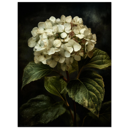 735ab432-f856-45c2-8c6a-4fe7de37d4fa