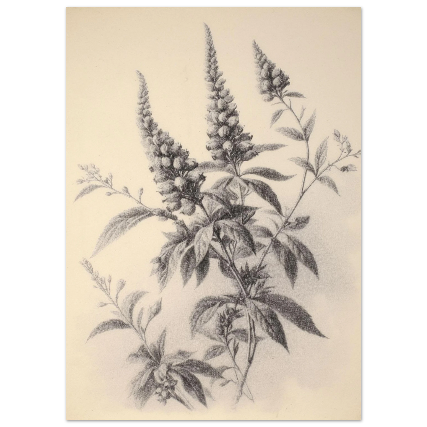 7360334c-40bf-4c0e-b245-a17785d5b2d4