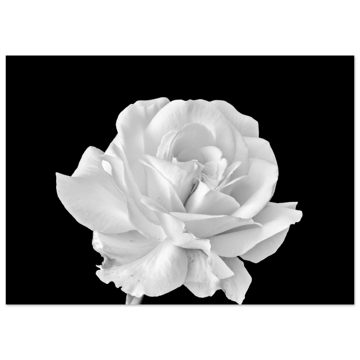 73e5ce67-fab1-4bd6-bf46-d04ed545bb84