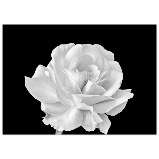 73e5ce67-fab1-4bd6-bf46-d04ed545bb84