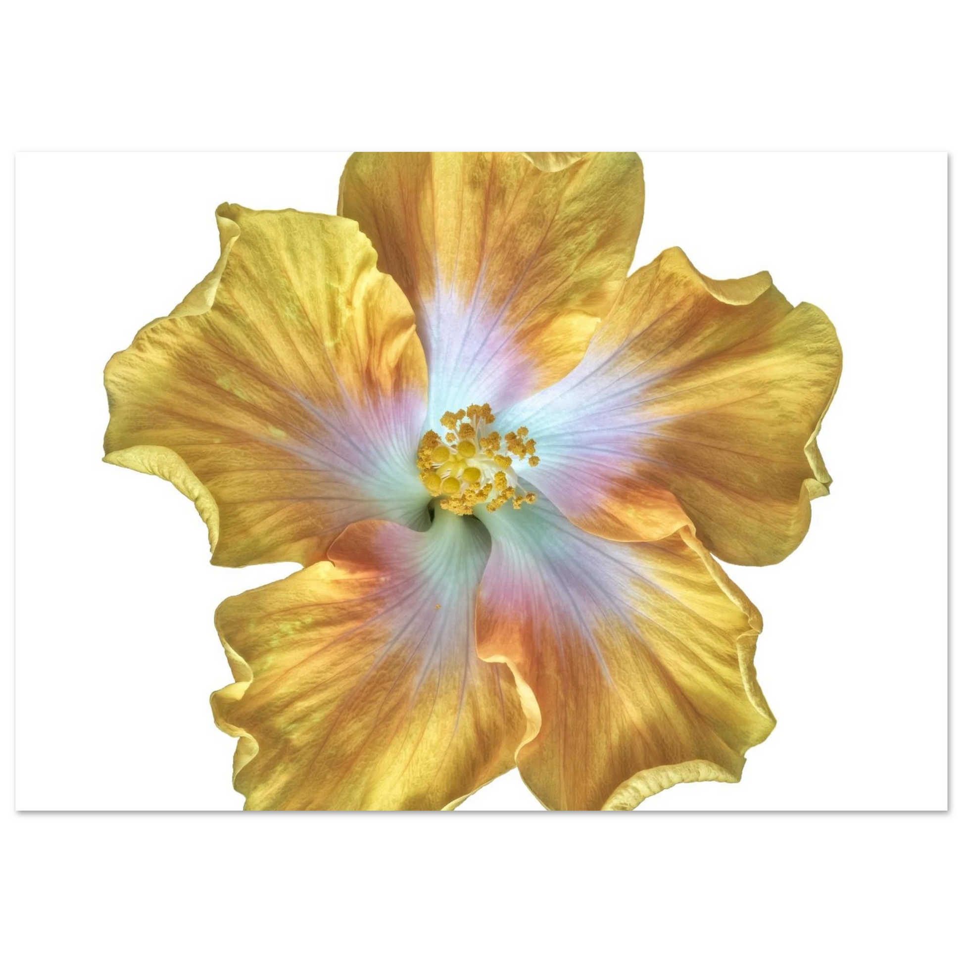 75046385-fe70-4103-94b7-6813d6716323