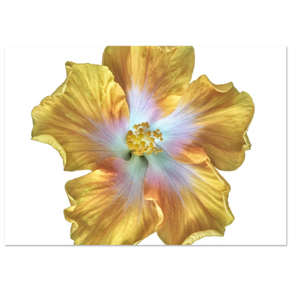 75046385-fe70-4103-94b7-6813d6716323