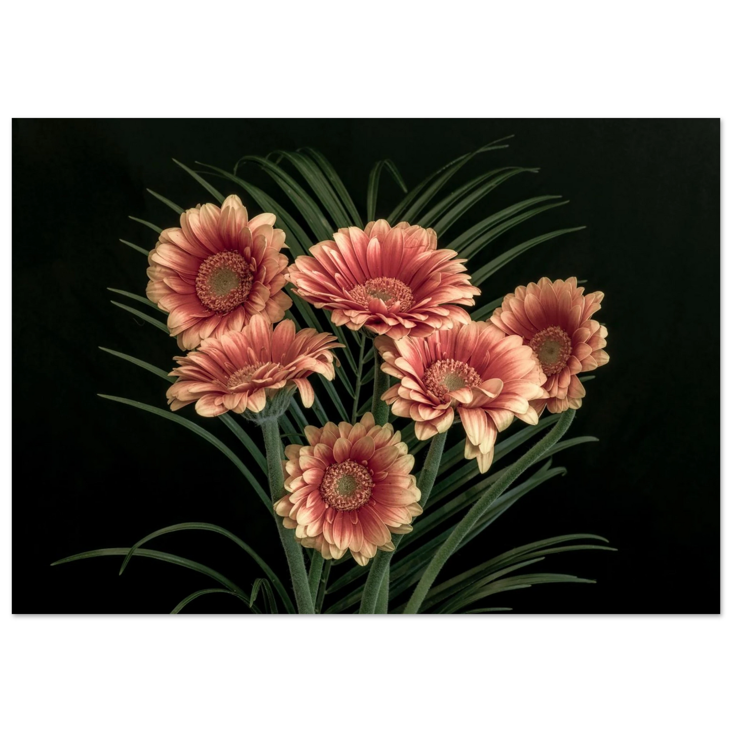 75d54693-7d92-490b-bf89-04d8d02958f8