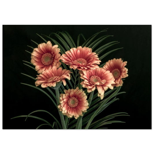 75d54693-7d92-490b-bf89-04d8d02958f8