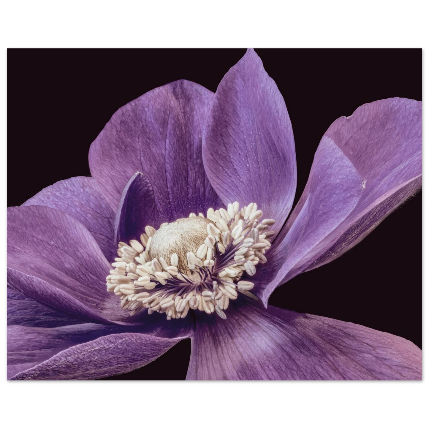 7789de1e-f3f9-488d-b47b-825694efdac1