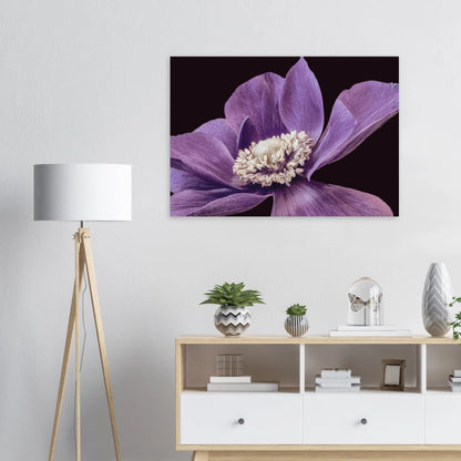 79d4585c-903d-47af-99a6-642e84de19a0