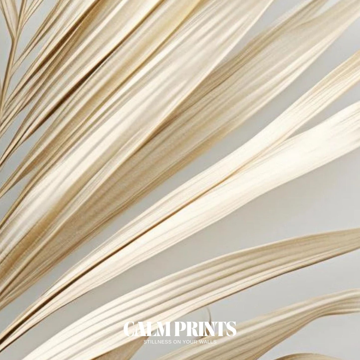 Elegant Beige Palm Leaf on Neutral Background Poster