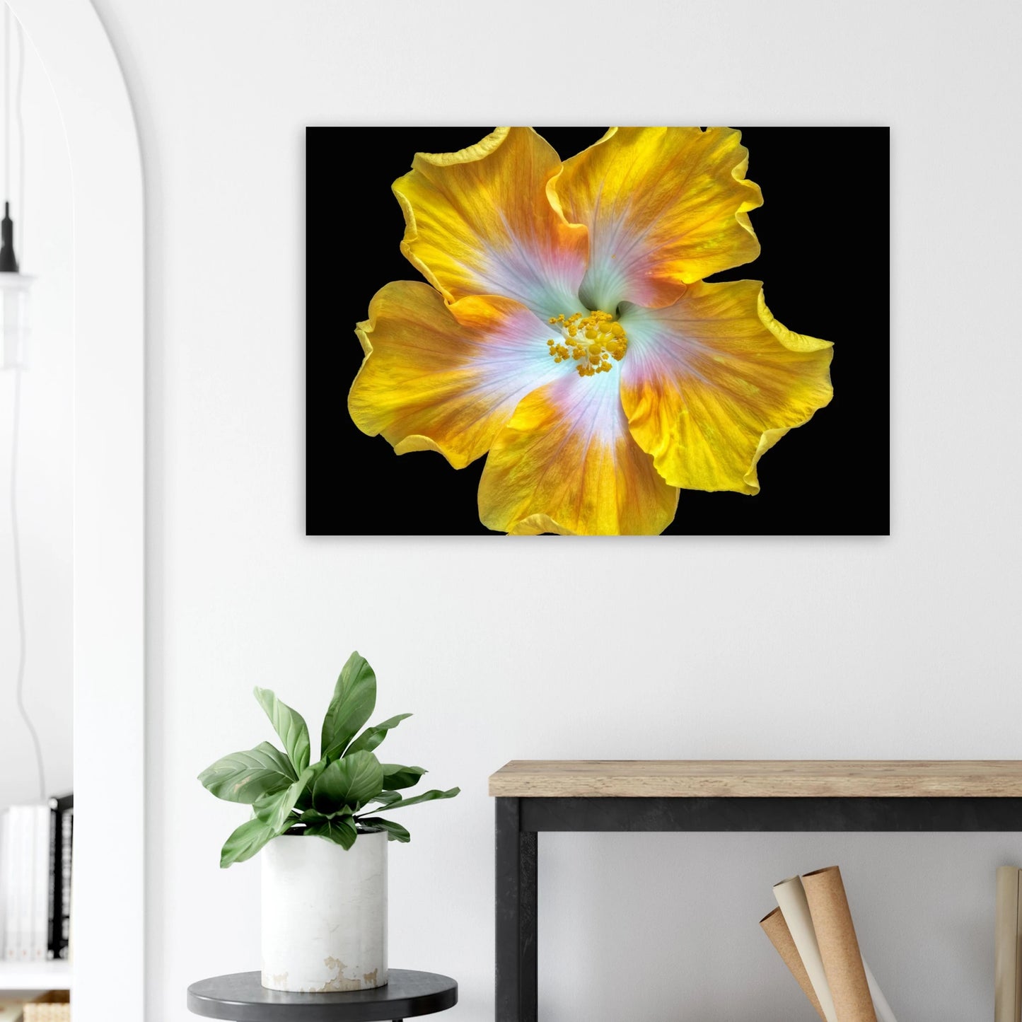 8af0dfde-cde6-4976-881f-ef20bf57e341