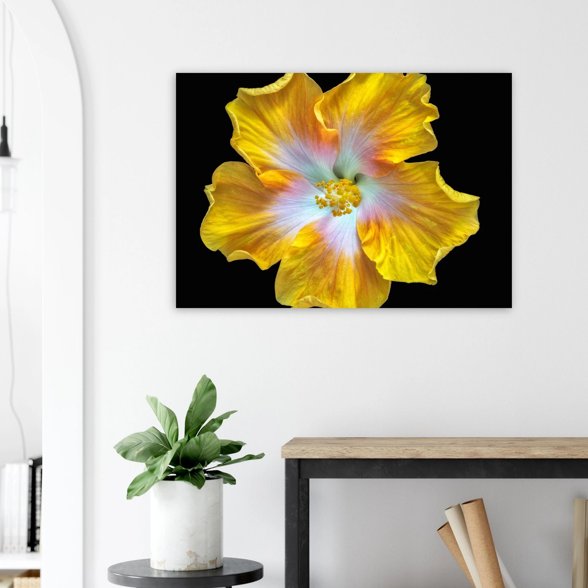 8af0dfde-cde6-4976-881f-ef20bf57e341