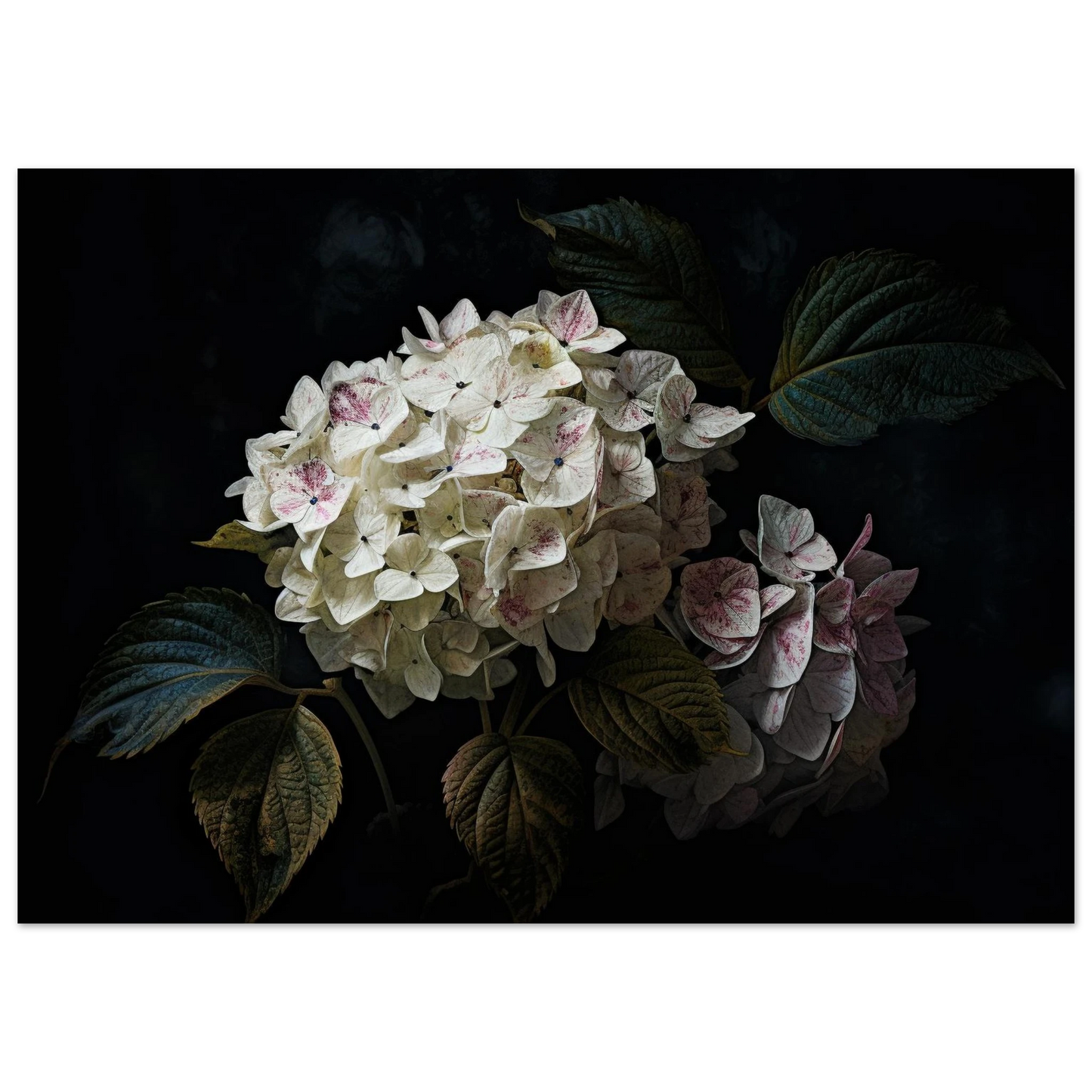 8c01dd01-31b8-492c-9763-05c498c4819a