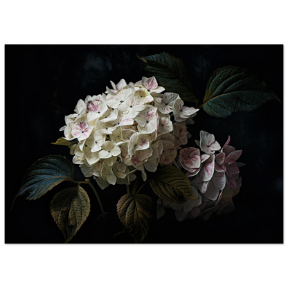 8c01dd01-31b8-492c-9763-05c498c4819a