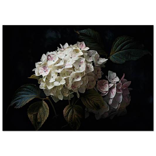 8dffca8d-eb82-4c11-a876-e83413c8d000