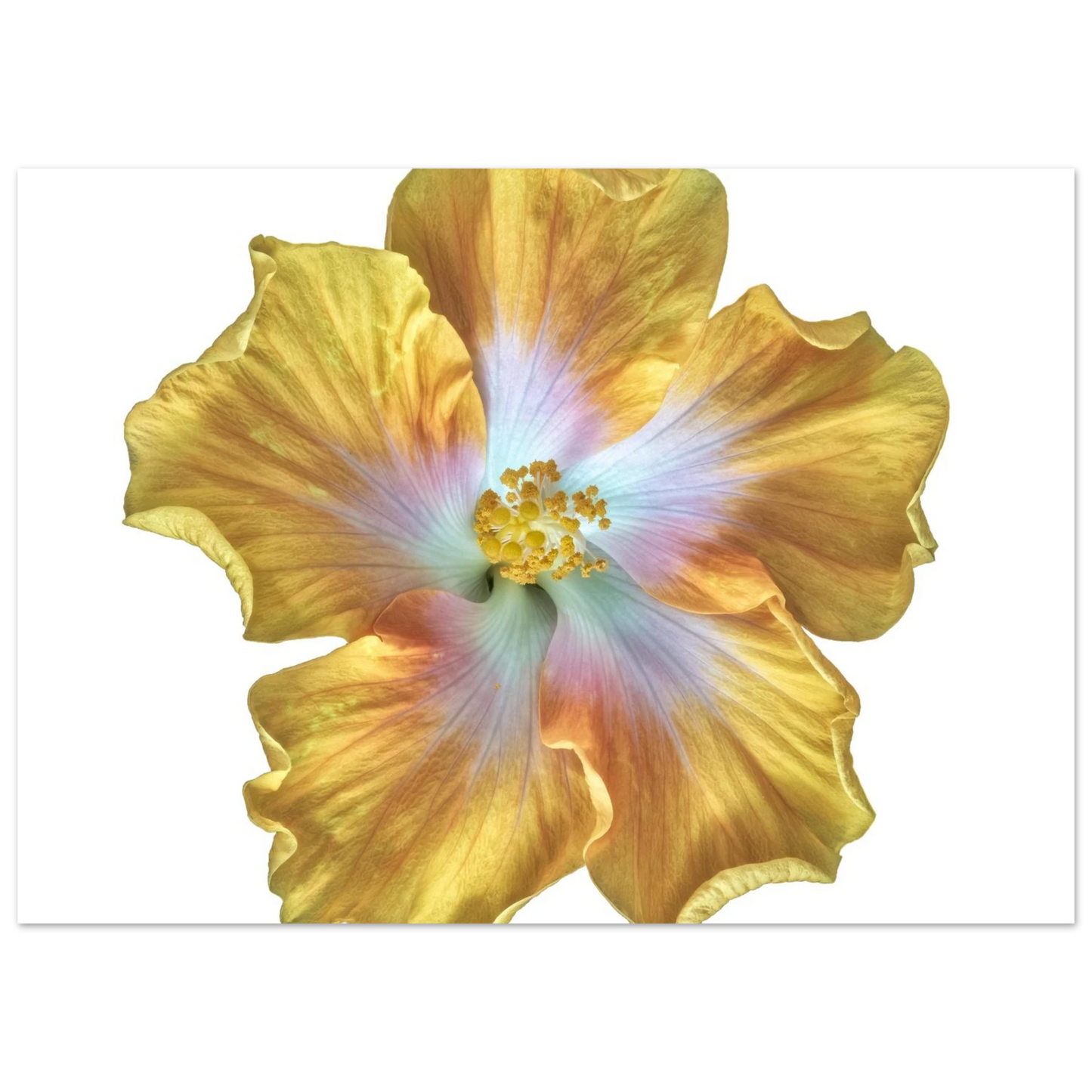 94c10a2c-959f-47fa-aae7-b67c265b9409