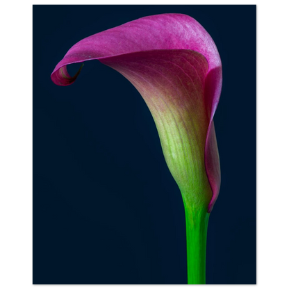 96c2aade-51ce-4036-adbb-8f523f4d94ee