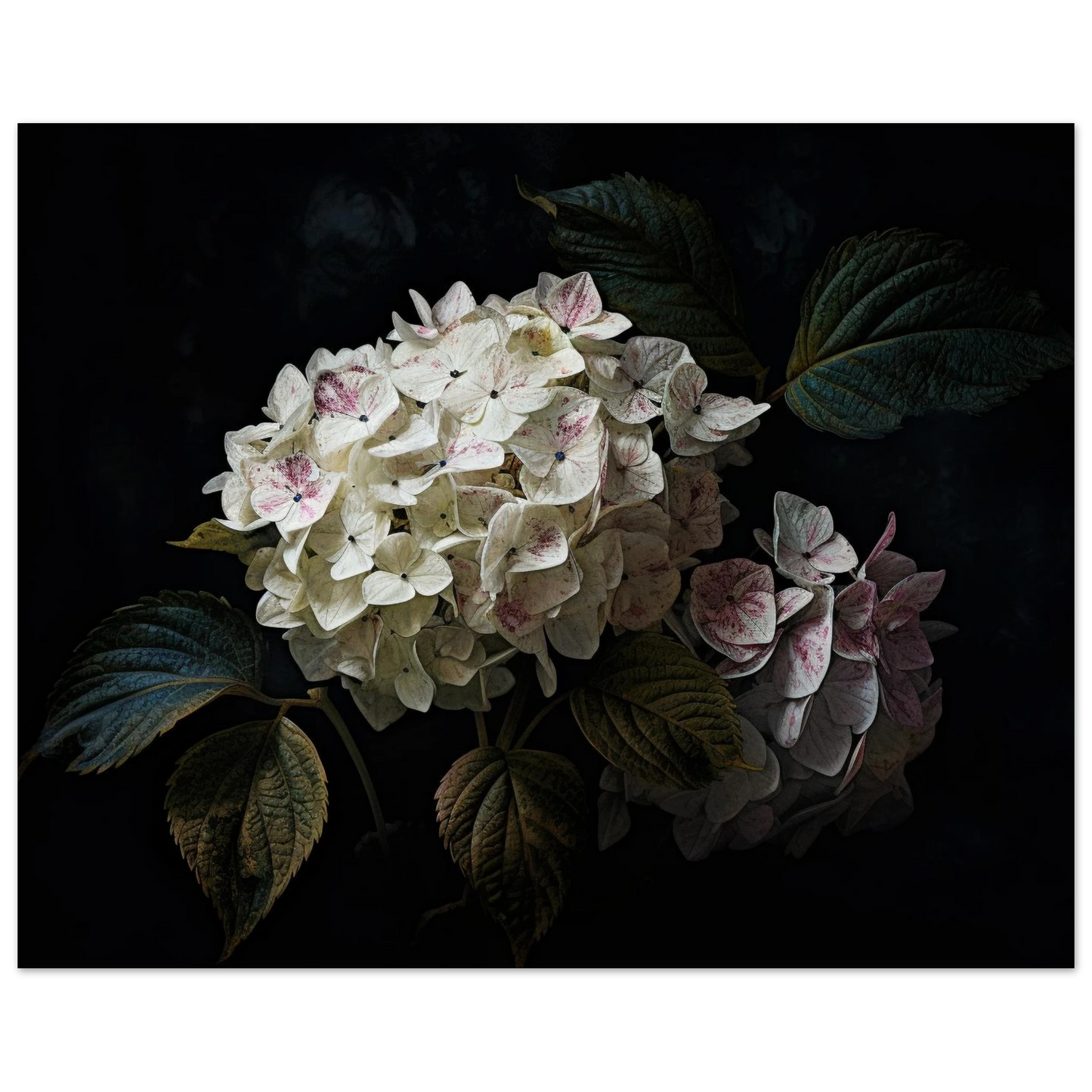 9af1b0da-c9f1-493f-b044-024fd0c2cfe3